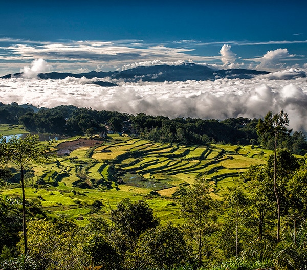 Detail Pemandangan Alam Toraja Nomer 7