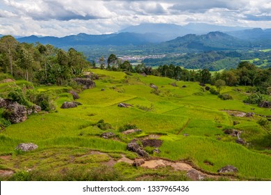 Detail Pemandangan Alam Toraja Nomer 8