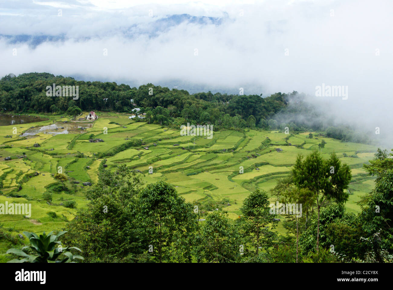 Detail Pemandangan Alam Toraja Nomer 9