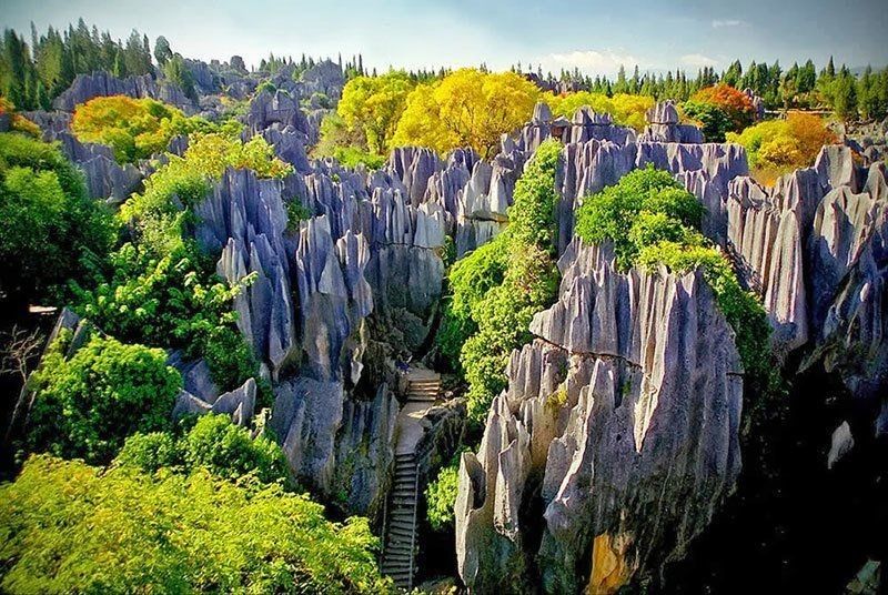 Detail Pemandangan Alam Yang Indah Asli Nomer 37