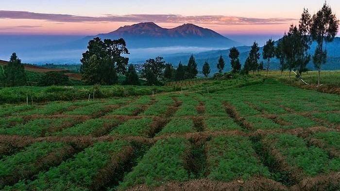 Detail Pemandangan Batu Malang Nomer 34