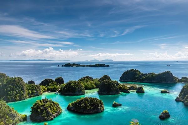 Detail Pemandangan Bawah Laut Terindah Di Indonesia Nomer 13