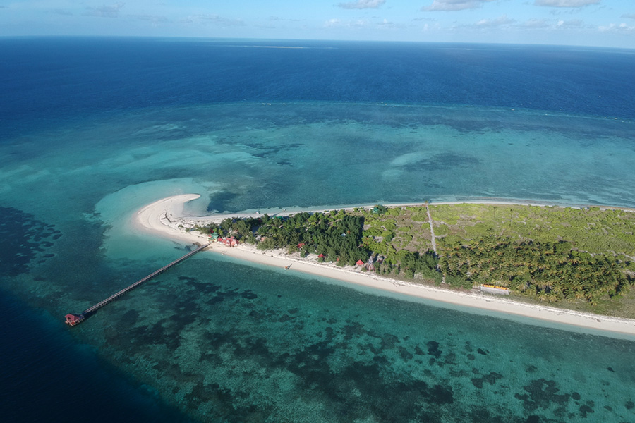 Detail Pemandangan Bawah Laut Terindah Di Indonesia Nomer 47