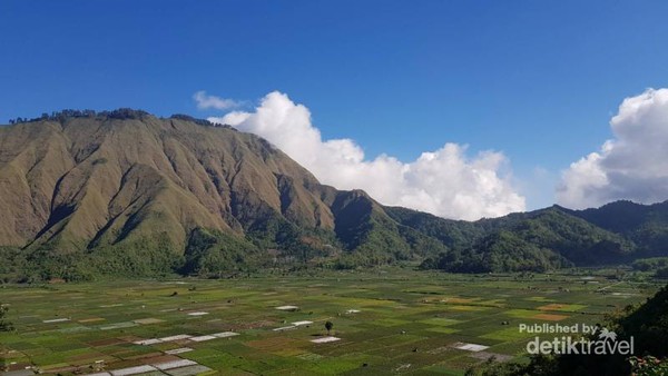 Detail Pemandangan Bukit Indah Nomer 11