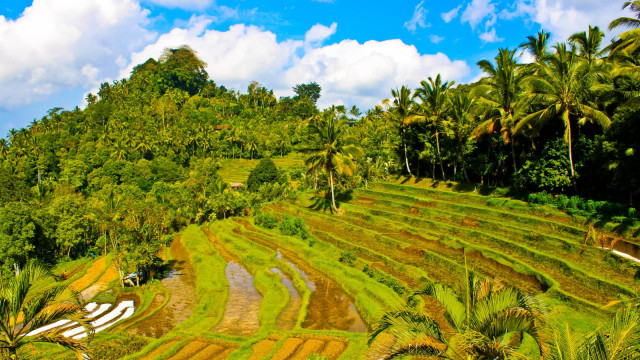 Detail Pemandangan Bukit Indah Nomer 30