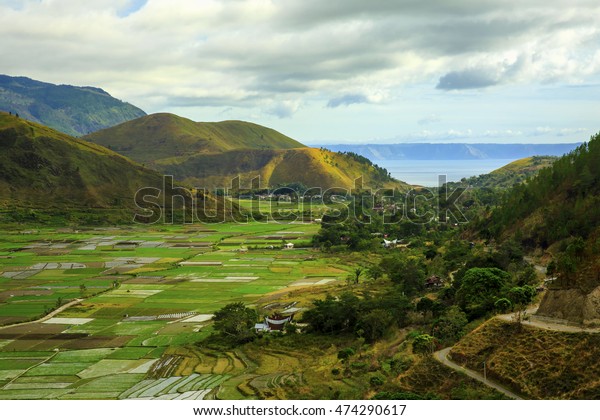 Detail Pemandangan Bukit Indah Nomer 56