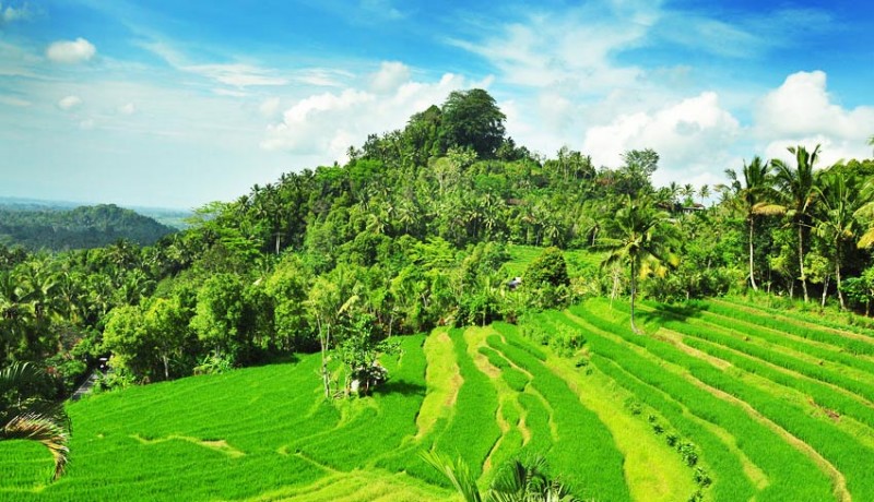 Detail Pemandangan Bukit Indah Nomer 10