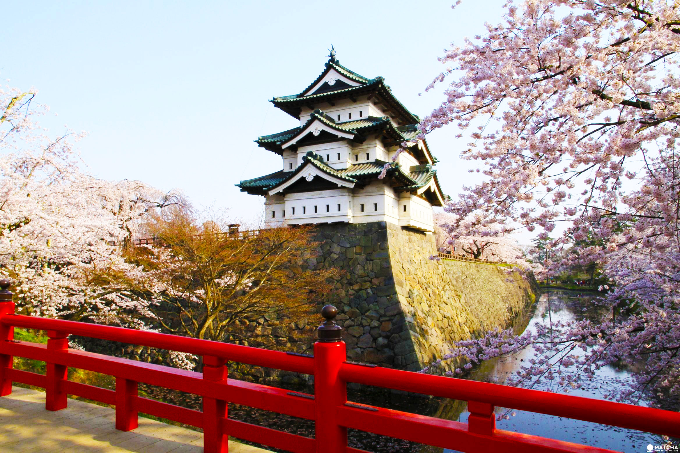 Detail Pemandangan Bunga Sakura Di Jepang Nomer 22