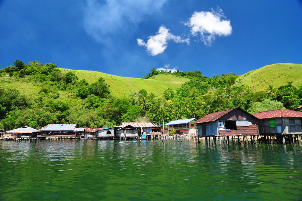 Detail Pemandangan Danau Sentani Nomer 7