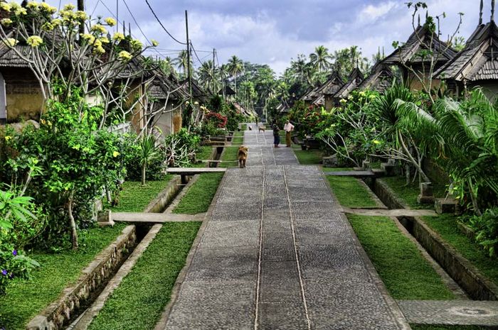 Pemandangan Desa Di Bali - KibrisPDR