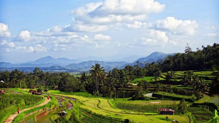 Detail Pemandangan Desa Indonesia Nomer 21