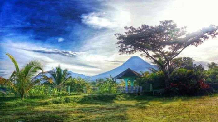 Detail Pemandangan Di Gunung Nomer 20