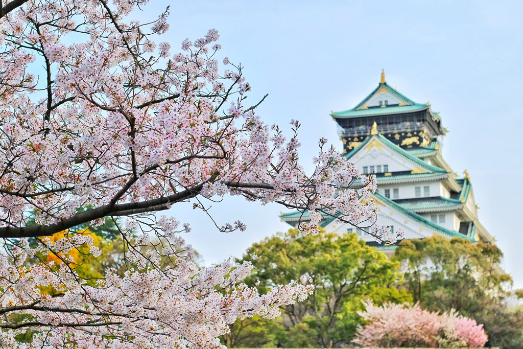 Detail Pemandangan Di Jepang Bunga Sakura Nomer 26