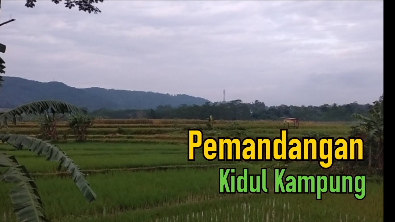 Detail Pemandangan Di Kampung Nomer 53