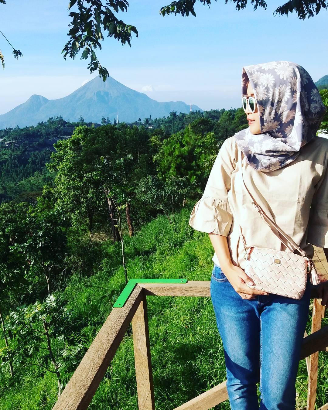 Detail Pemandangan Di Pegunungan Nomer 17