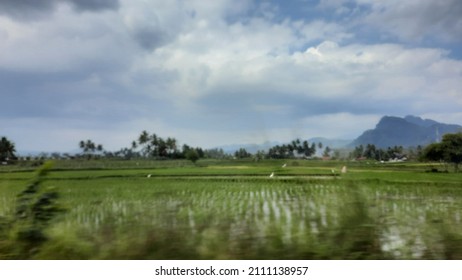 Detail Pemandangan Di Sawah Nomer 23