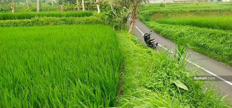 Detail Pemandangan Di Sawah Nomer 31