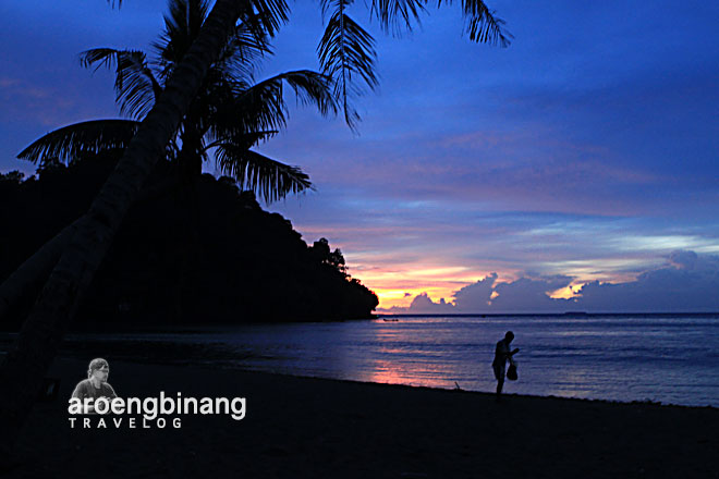 Detail Pemandangan Di Tepi Pantai Pada Waktu Senja Nomer 41