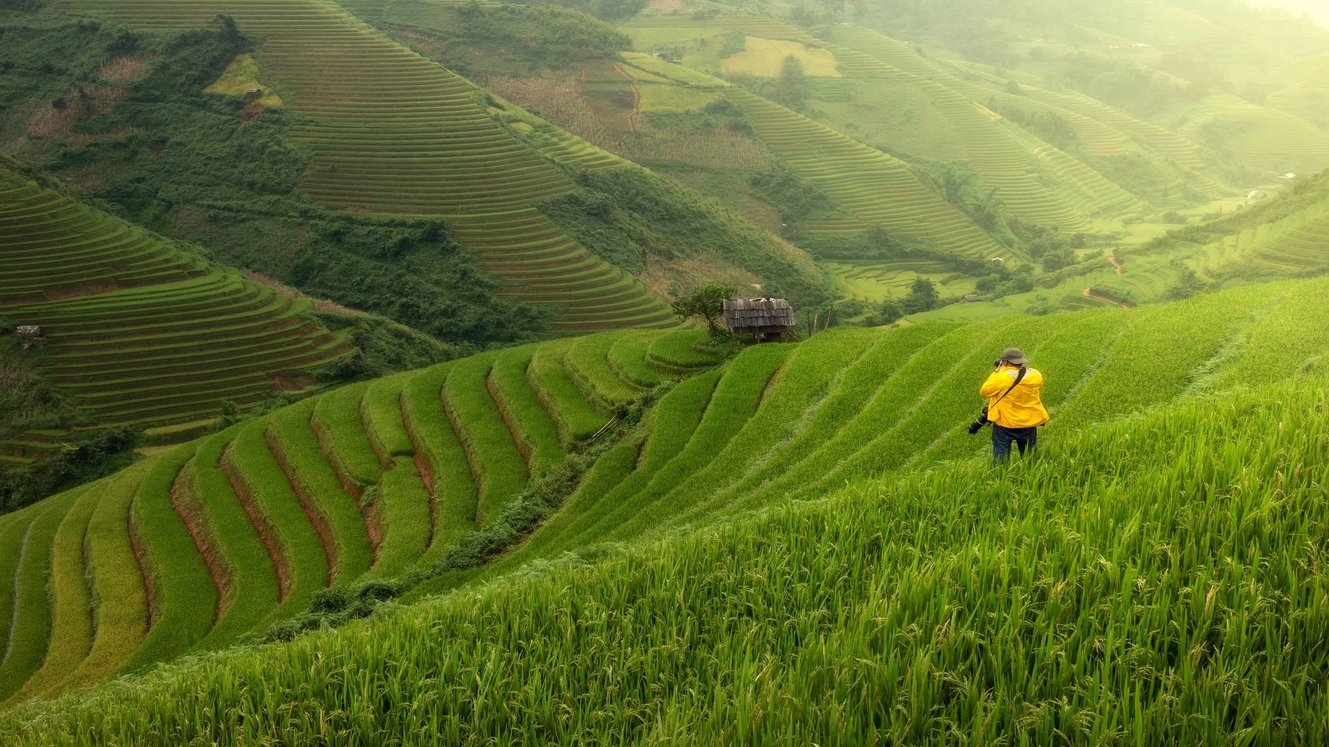 Detail Pemandangan Di Vietnam Nomer 33