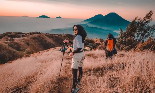 Detail Pemandangan Dieng Wonosobo Nomer 46