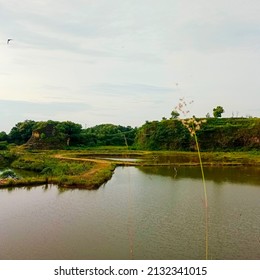 Detail Pemandangan Gambar Gunung Nomer 20