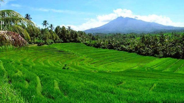 Detail Pemandangan Gunung Dan Sawah Nomer 29