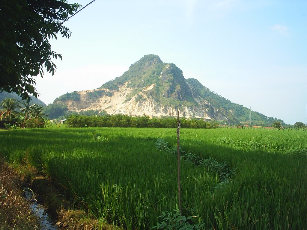 Detail Pemandangan Gunung Dan Sawah Nomer 39