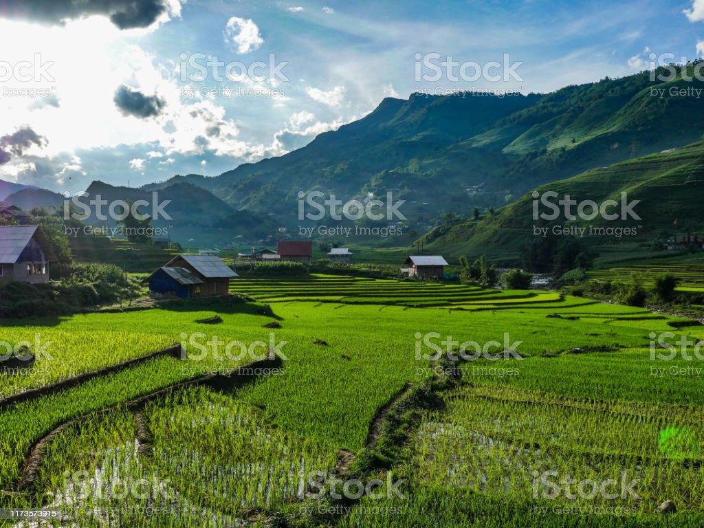 Detail Pemandangan Gunung Dan Sawah Nomer 41