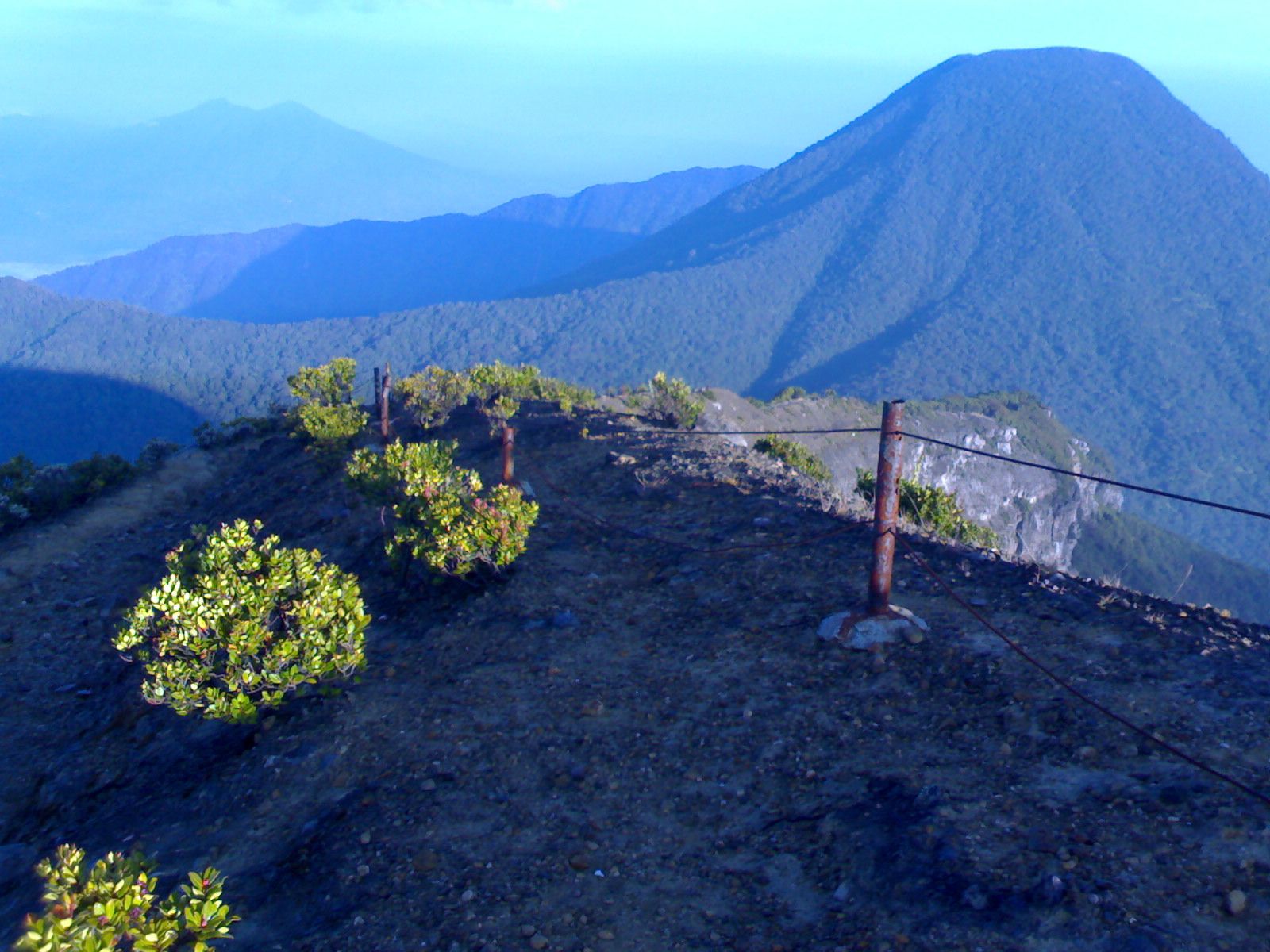 Detail Pemandangan Gunung Gede Nomer 4