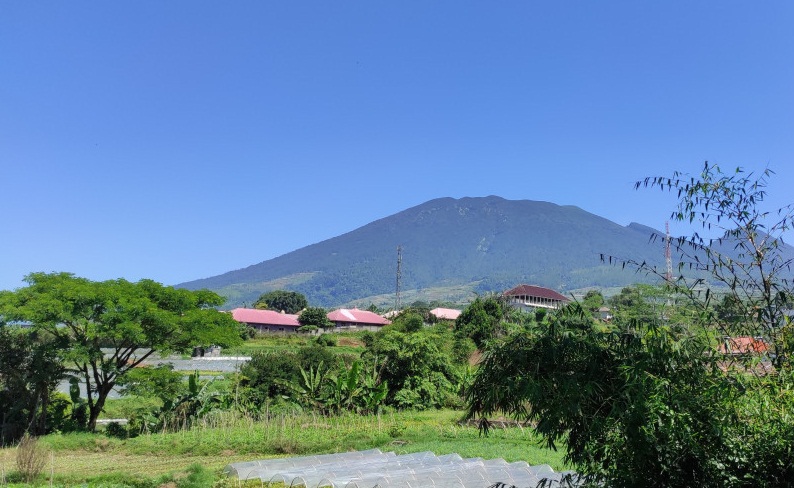 Detail Pemandangan Gunung Gede Nomer 47