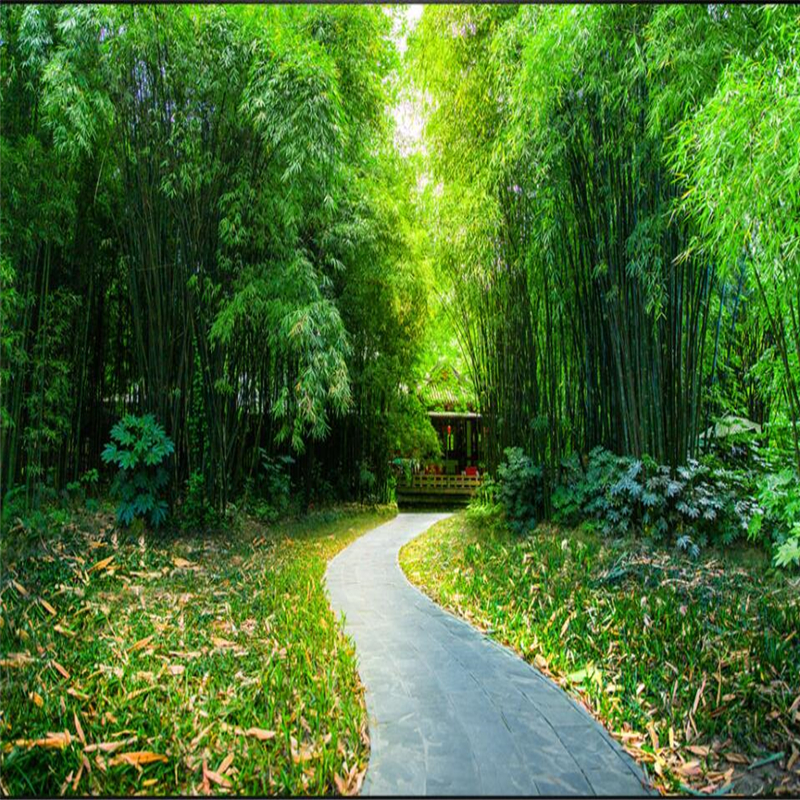 Detail Pemandangan Hutan Bambu Nomer 11