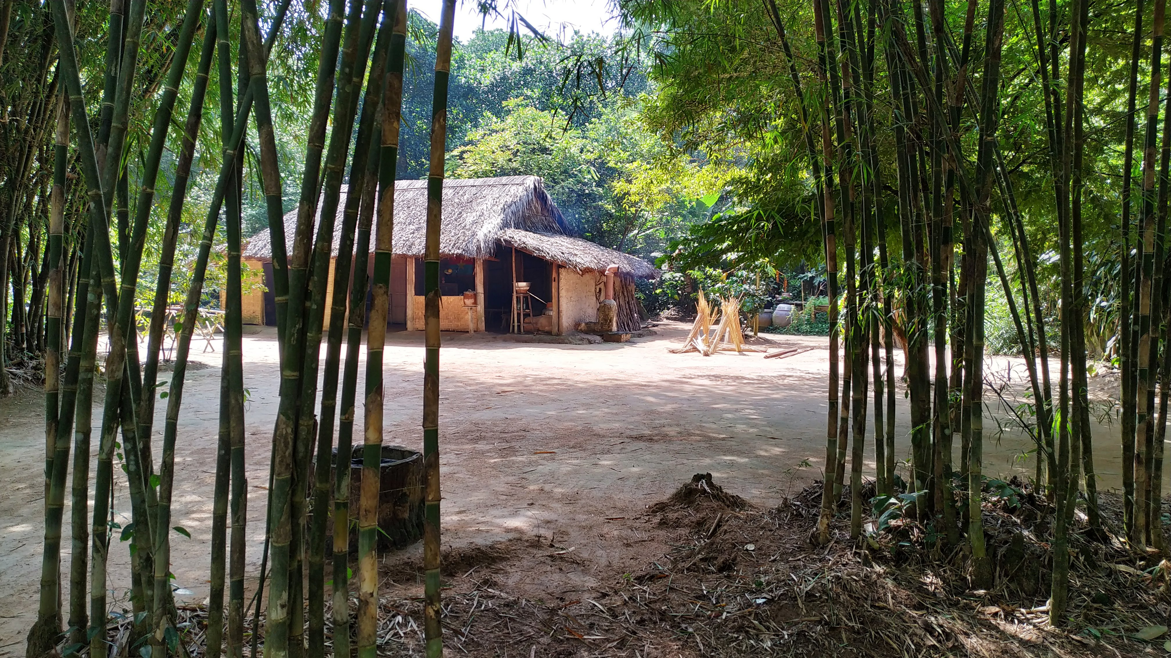 Detail Pemandangan Hutan Bambu Nomer 38