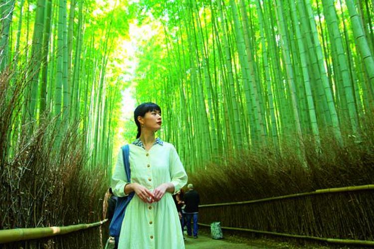 Detail Pemandangan Hutan Bambu Nomer 46