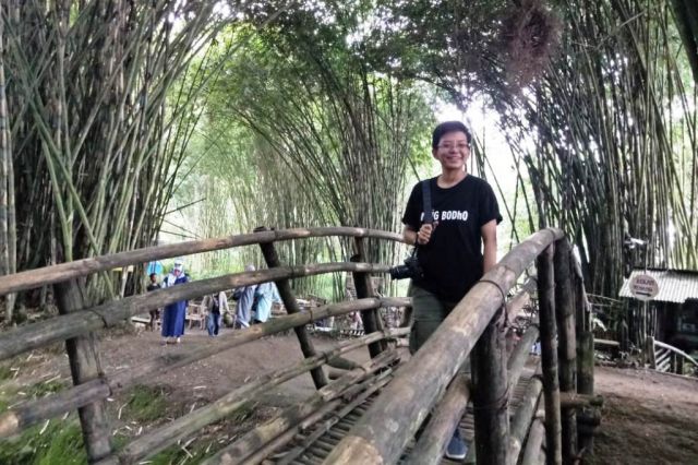 Detail Pemandangan Hutan Bambu Nomer 50