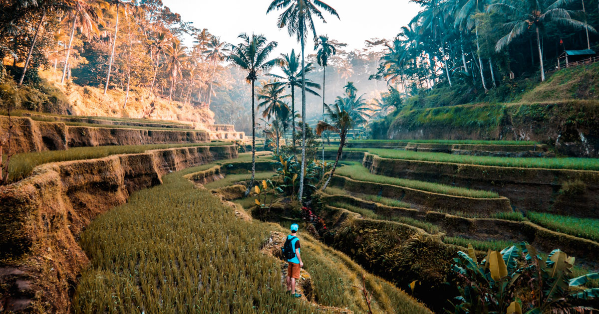 Detail Pemandangan Indah Di Bali Nomer 8