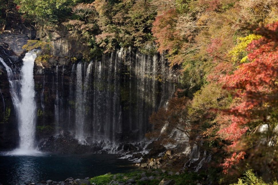 Detail Pemandangan Indah Di Jepang Nomer 52