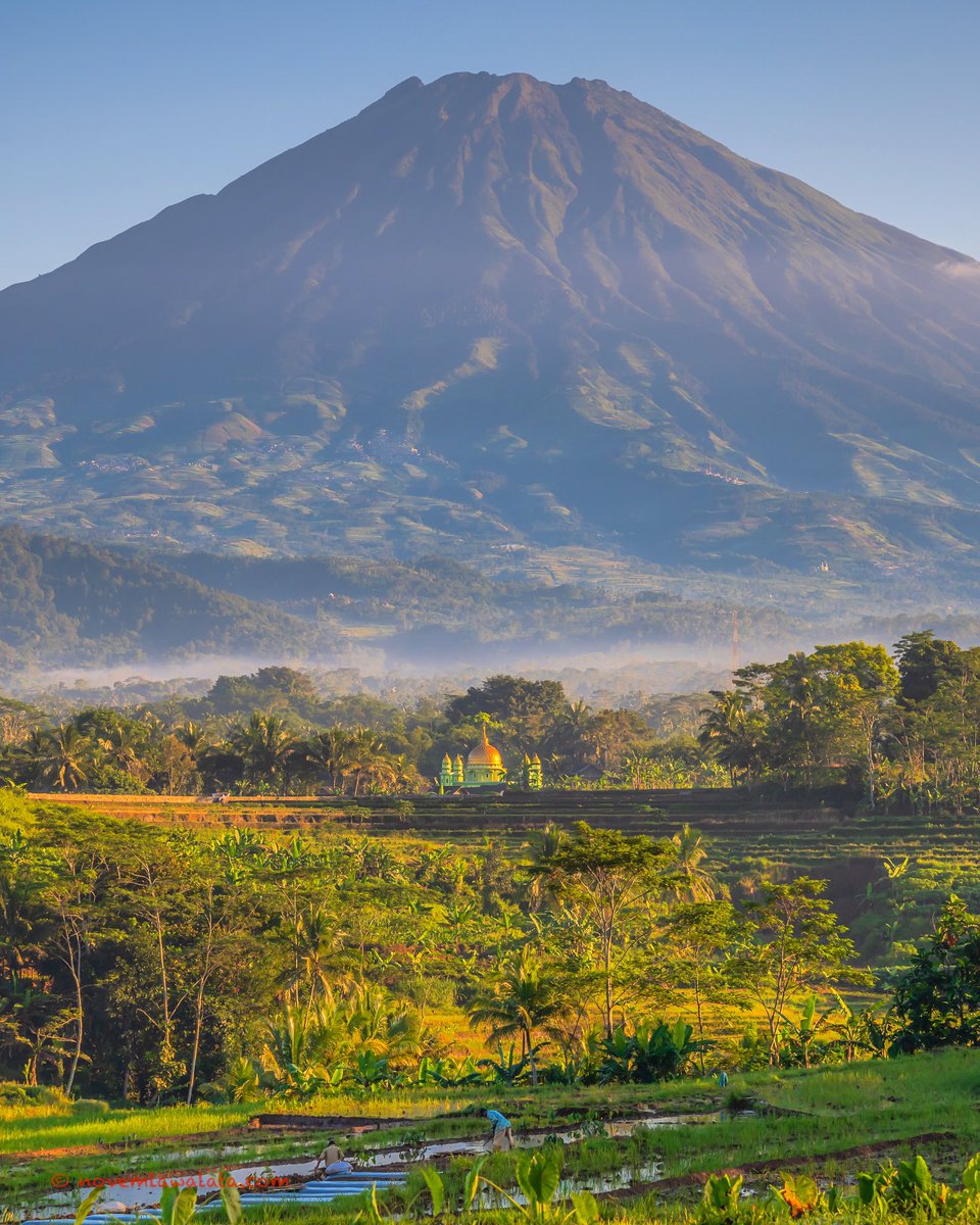 Detail Pemandangan Indah Pagi Hari Nomer 13