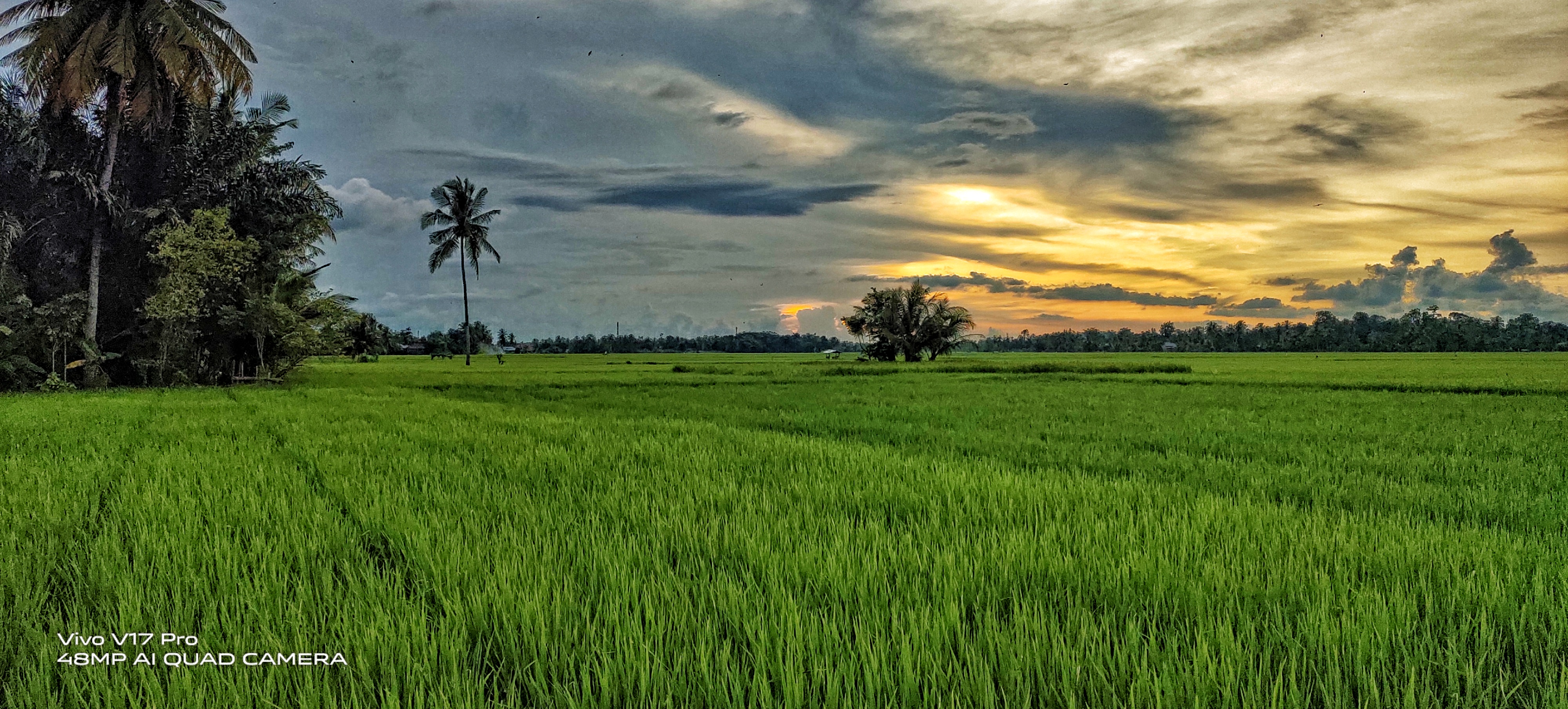 Detail Pemandangan Indah Pagi Hari Nomer 52