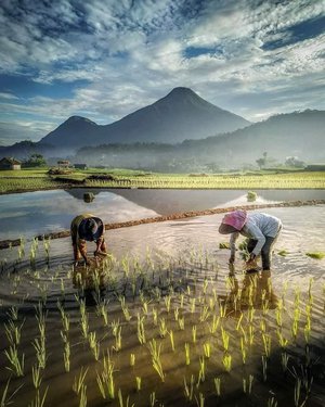 Detail Pemandangan Indah Pedesaan Nomer 21