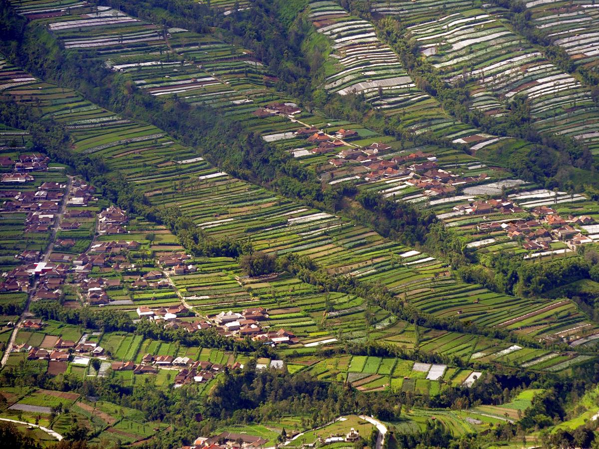 Detail Pemandangan Jawa Tengah Nomer 19