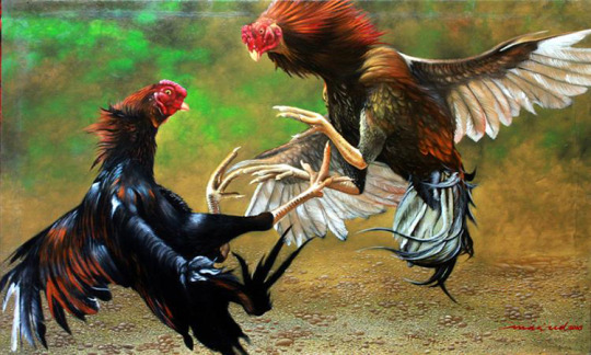 Detail Lukisan Ayam Jago Tarung Nomer 43
