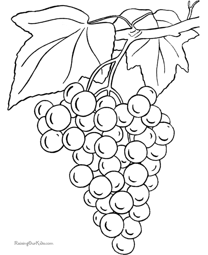 Detail Lukisan Buah Anggur Nomer 16