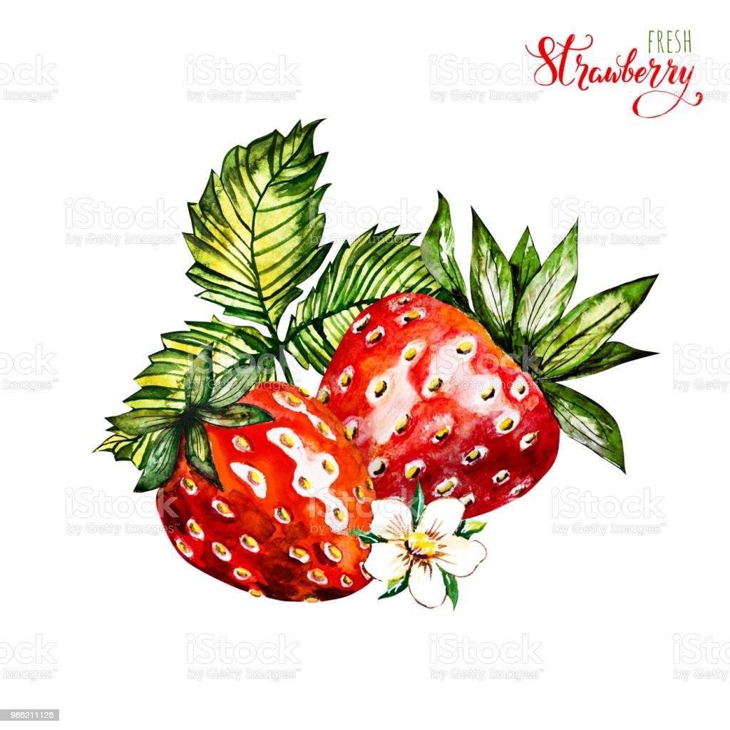 Detail Lukisan Buah Strawberry Nomer 26