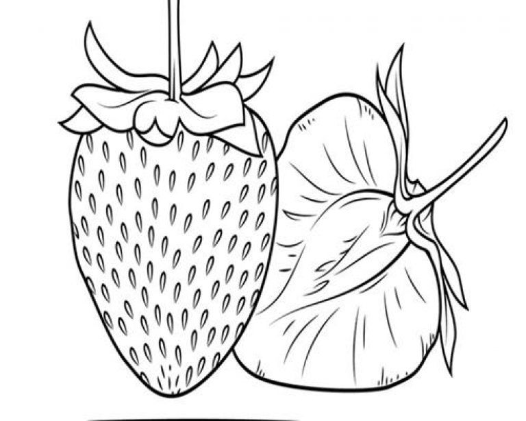Detail Lukisan Buah Strawberry Nomer 40