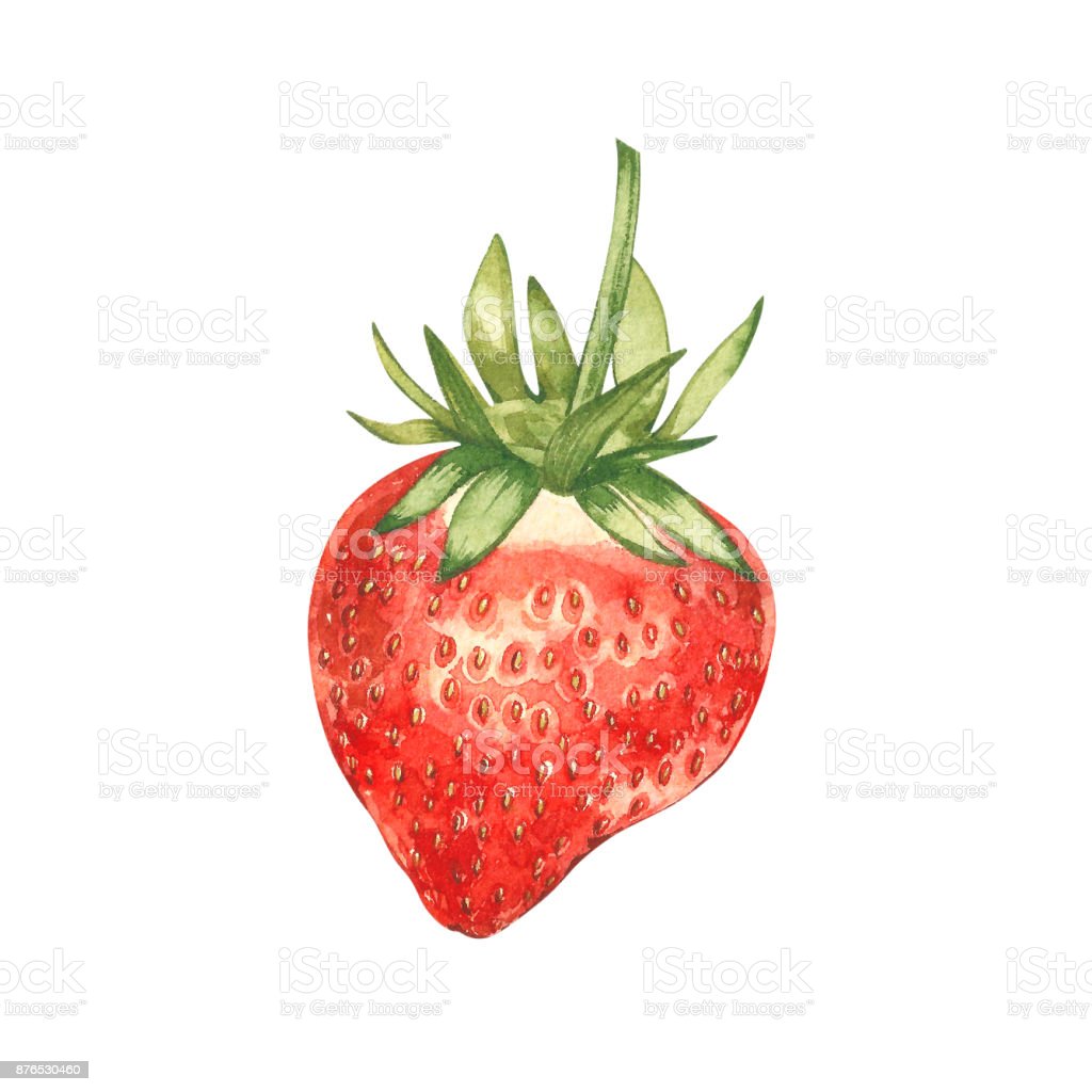 Detail Lukisan Buah Strawberry Nomer 42