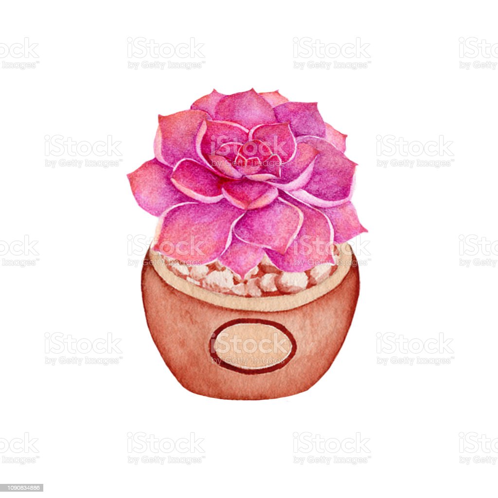 Detail Lukisan Bunga Dalam Pot Nomer 41