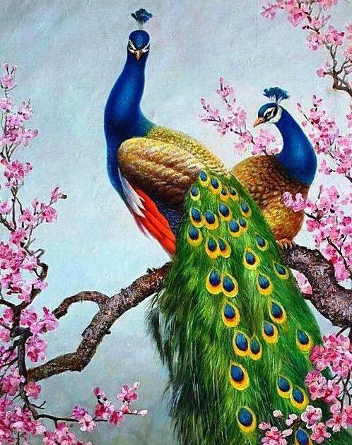 Detail Lukisan Bunga Dan Burung Nomer 37