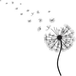 Detail Lukisan Bunga Dandelion Nomer 18