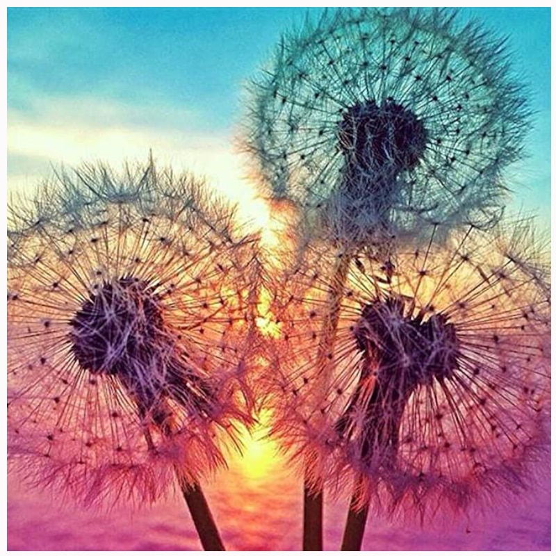 Detail Lukisan Bunga Dandelion Nomer 7