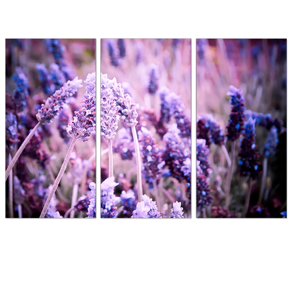 Detail Lukisan Bunga Lavender Nomer 31